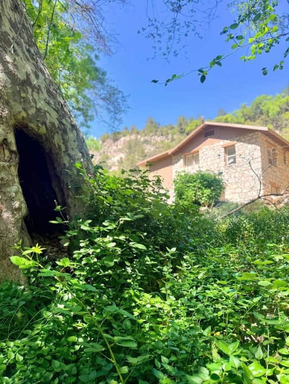 Historic Stonehouse Cabin • Canyon Retreat - Image 4